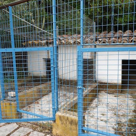 Horta De Pepinais Villa Elvas Esterno foto