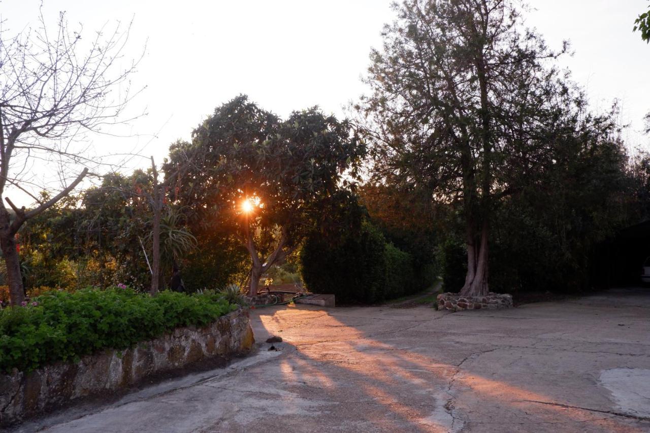 Horta De Pepinais Villa Elvas Esterno foto