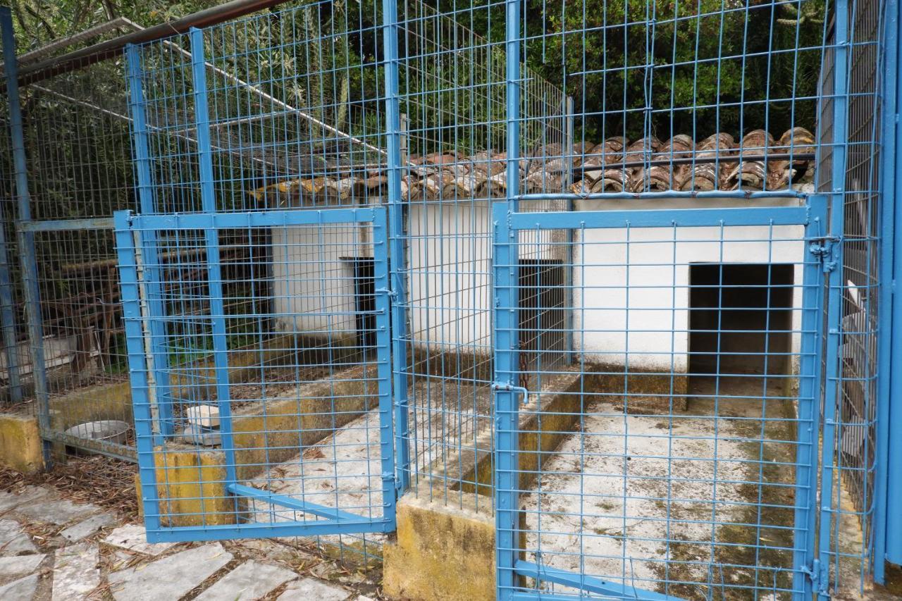 Horta De Pepinais Villa Elvas Esterno foto